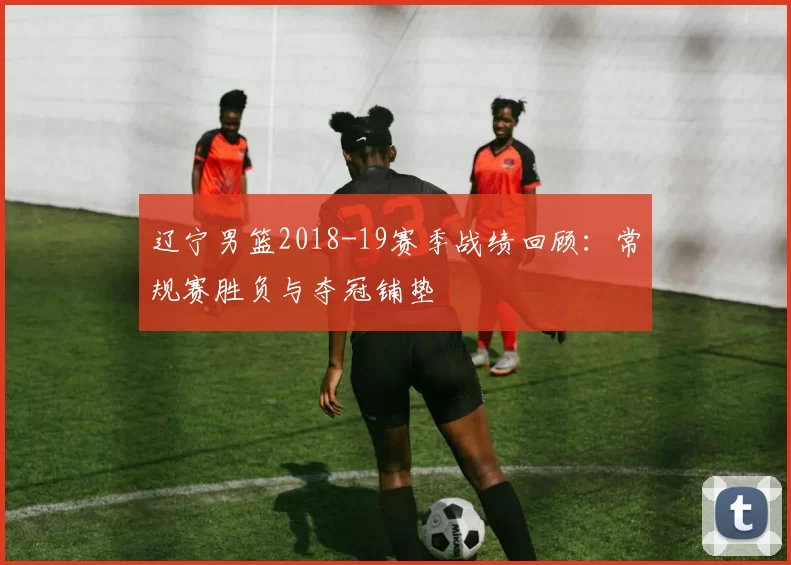 辽宁男篮2018-19赛季战绩回顾：常规赛胜负与夺冠铺垫