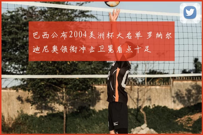 巴西公布2004美洲杯大名单 罗纳尔迪尼奥领衔冲击卫冕看点十足