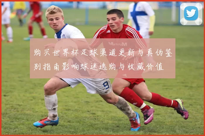 购买世界杯足球渠道更新与真伪鉴别指南影响球迷选购与收藏价值
