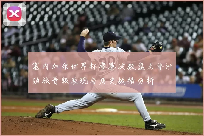 塞内加尔世界杯参赛次数盘点非洲劲旅晋级表现与历史战绩分析