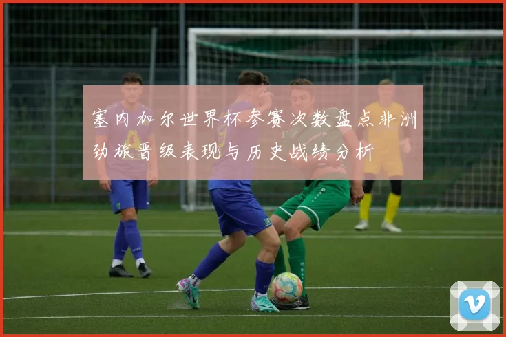 塞内加尔世界杯参赛次数盘点非洲劲旅晋级表现与历史战绩分析